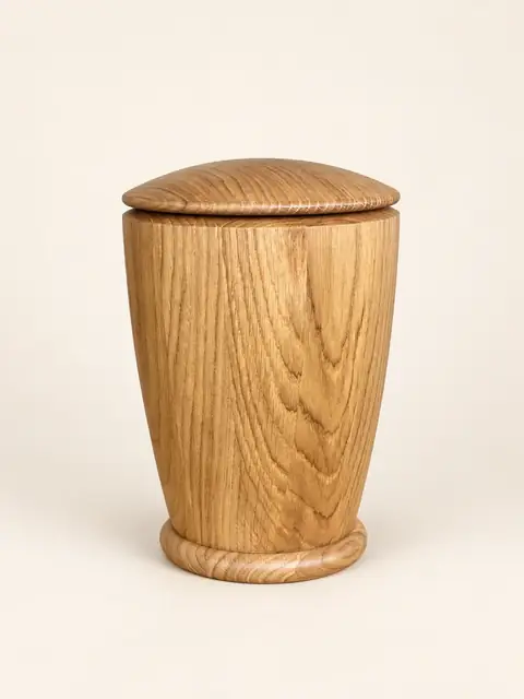 Světlý dub